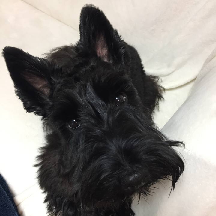 77f7eccf 27f5 4ebf 878a 79bd58b722a2 1510755805908