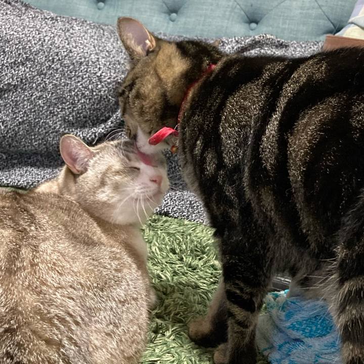 77f7efb2 f388 463a 93e5 b86e1570e9ed 1600126055608