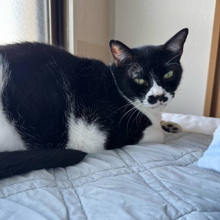 77f80141 3f8b 4cfd 9cfb 2b28288742f0 1757549189905