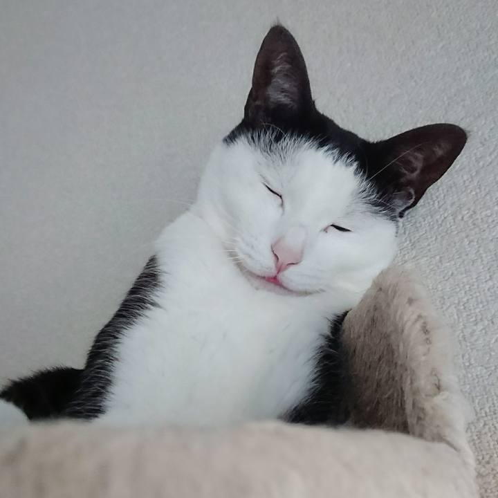 77f80244 b19c 4258 bffa 44c50f806772 1524102873081