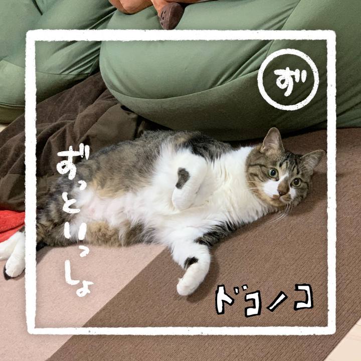 77f85b1e 0735 4b1f 9f9e 5368165453d8 1685956965974