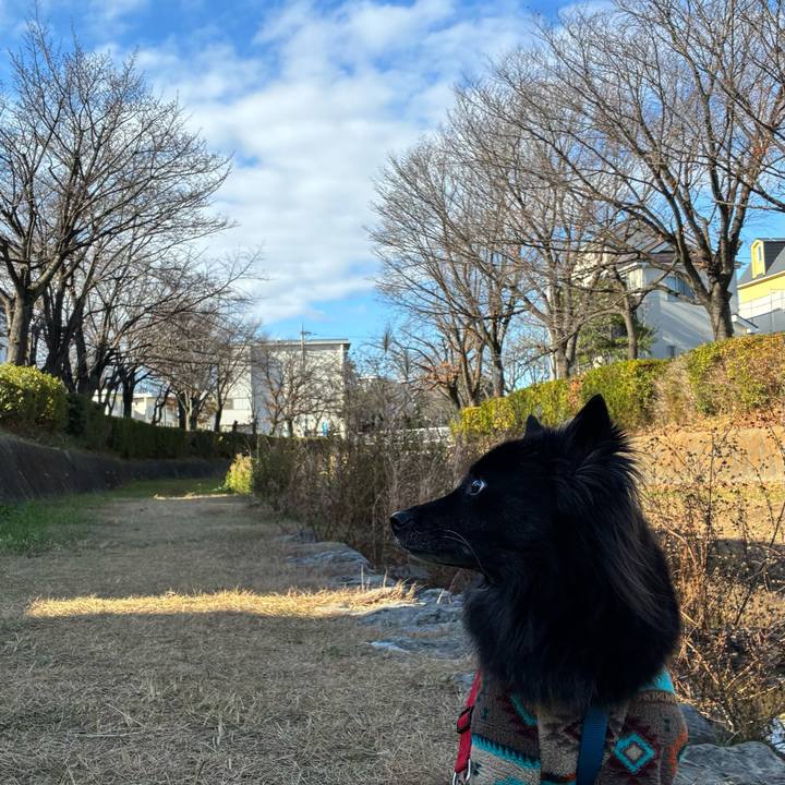 77f88111 1d5b 4816 9a7a c528d12e5830 1765616227636