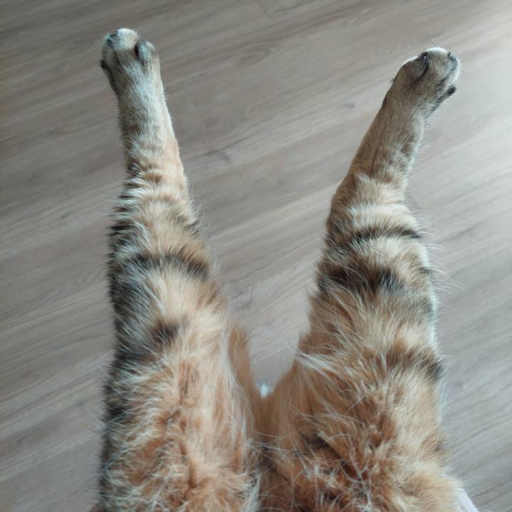 77f896f3 17be 4301 8ba0 d08df237ed11 1772331189560