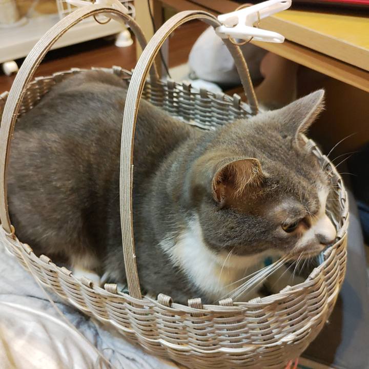 77f8a85d 3ff7 4ad5 a01c ff67dc5f7fdb 1657725536184