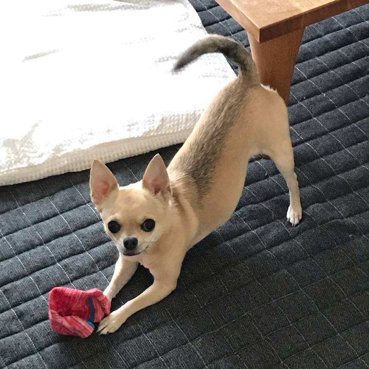 77f8c25b 97d7 4ba1 ad50 b16bd6efea3a 1563405442730