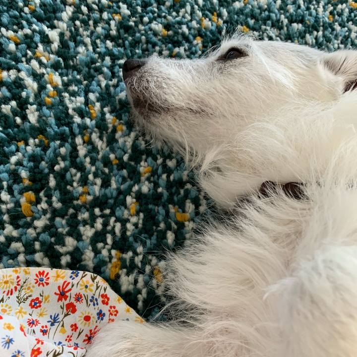 77f8ec93 56cc 4272 b189 f8844b4b0fdc 1592200679554