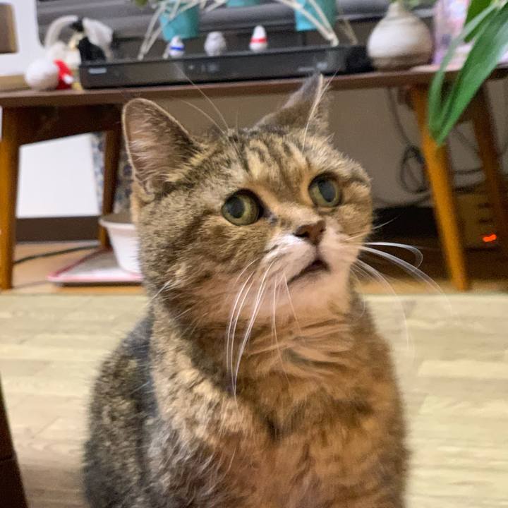 77f8ed22 4bfb 46b0 a322 2e0311e78aa0 1604667054978