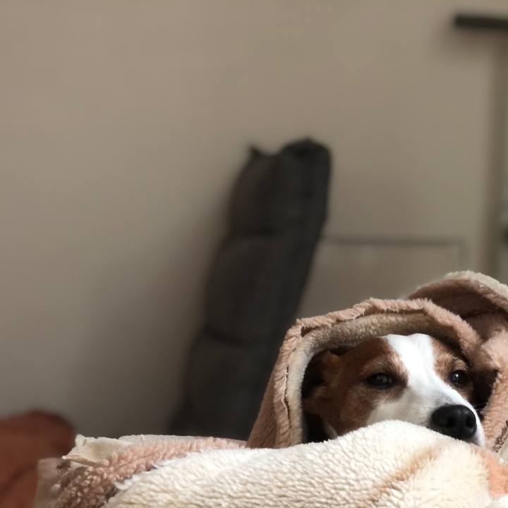 77f8eff0 ca12 4ad4 8edf ae8c59483595 1707705238324