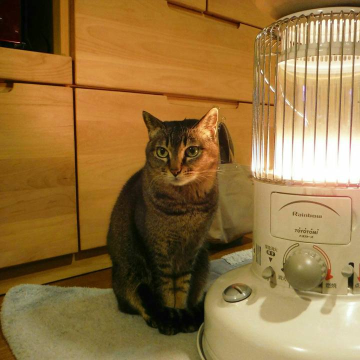 77f91e1d 1cec 47cf 90e4 9f6c81d71f99 1544745392254