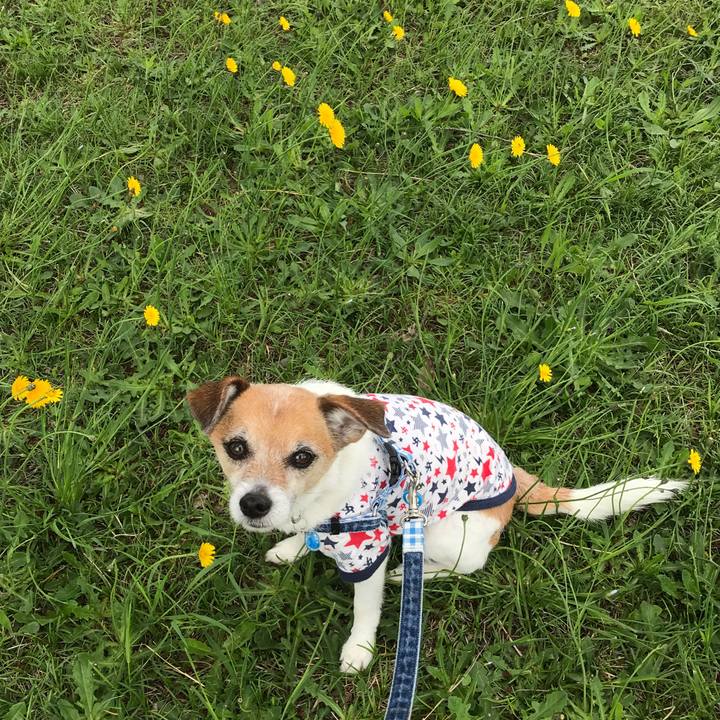 77f9267a 6078 437a bf4e 03fb10c5da71 1588993847036