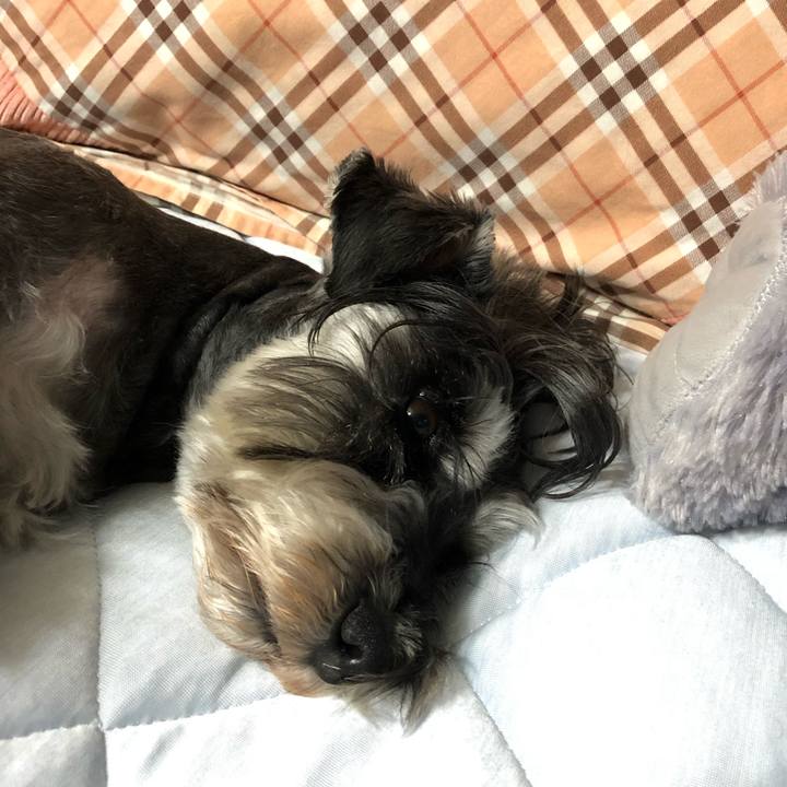 77f94056 031e 49c5 ba4b 0a723d91acc2 1623847643134