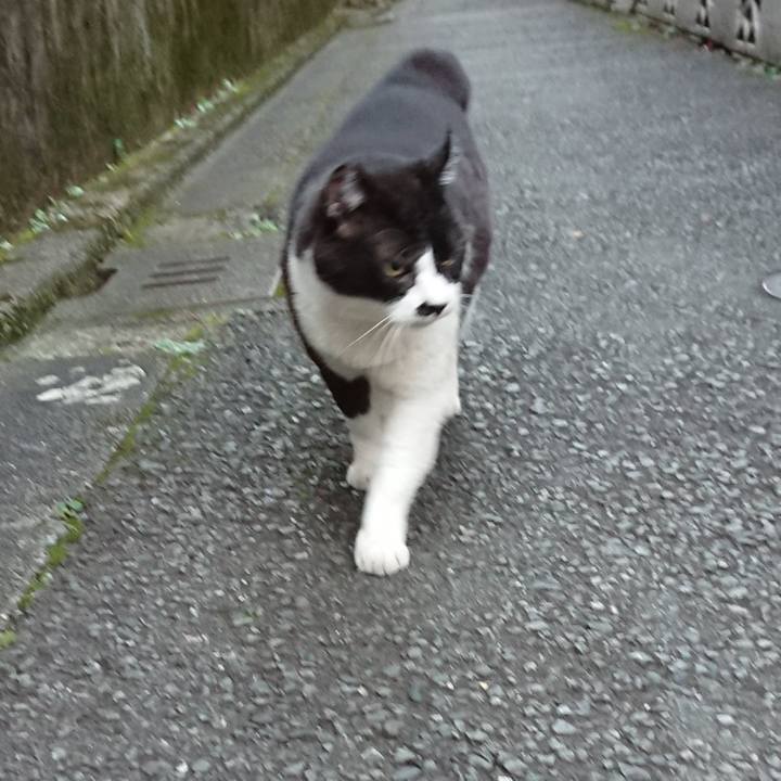 77f99662 d573 4f23 a0c7 508b2f32de9e 1636687829148