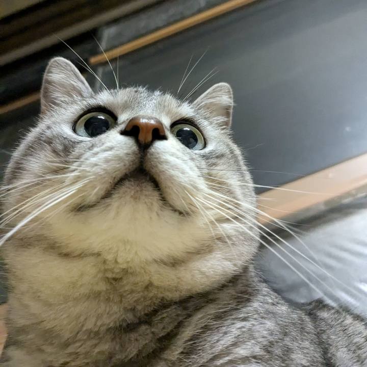 77f998be 0236 4751 a034 9c7c436df6c5 1721306263135