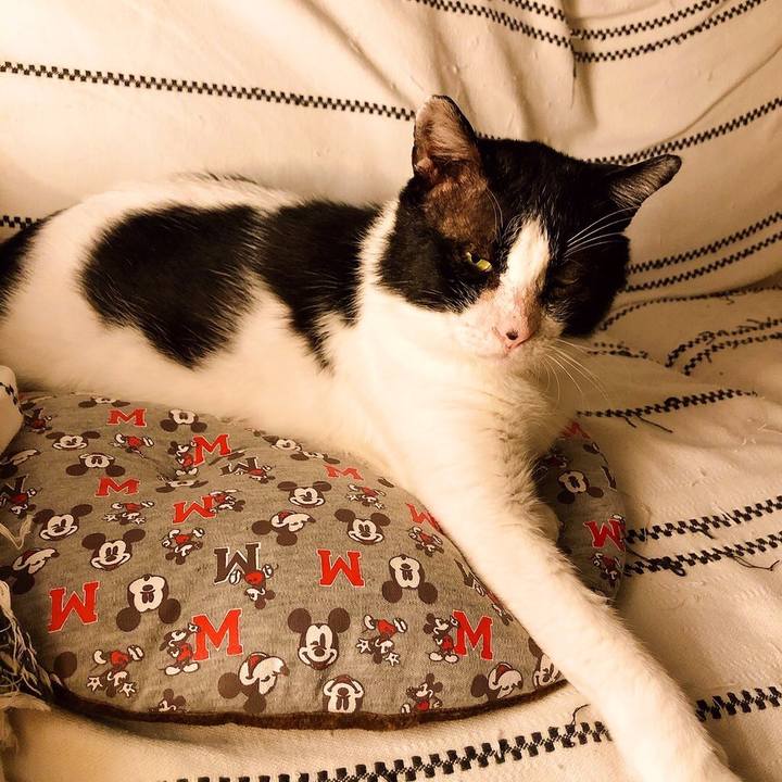 77f9a963 4c0c 4e10 85a8 8fb4bd3c6dae 1635410352046