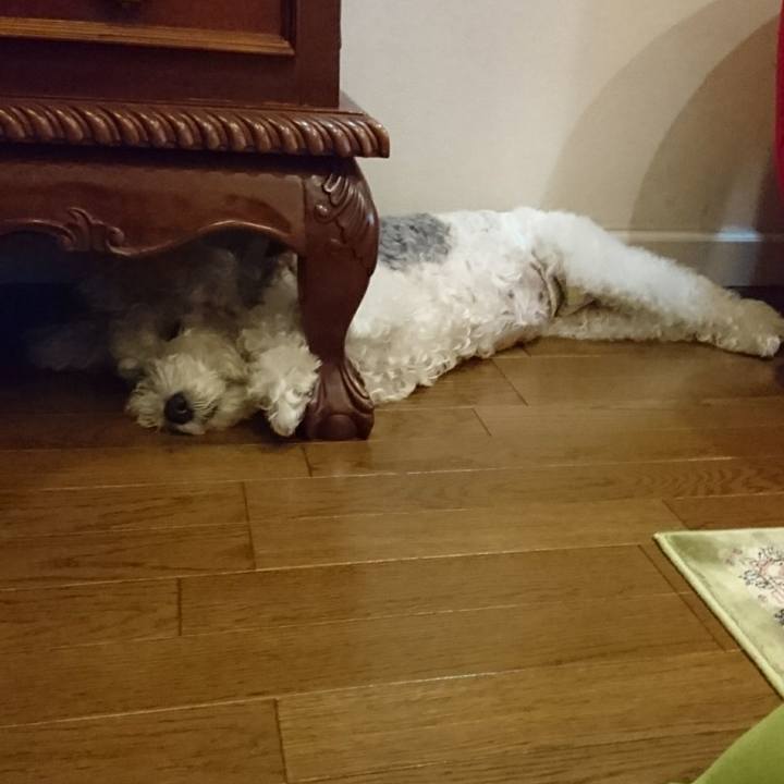 77f9b1ec e749 4a39 81d0 f21f83ac43f8 1564227956610