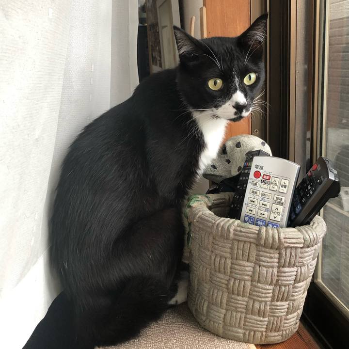 77f9e0cf bdf2 4ad8 a23b eb77f01a2bb6 1662001617289