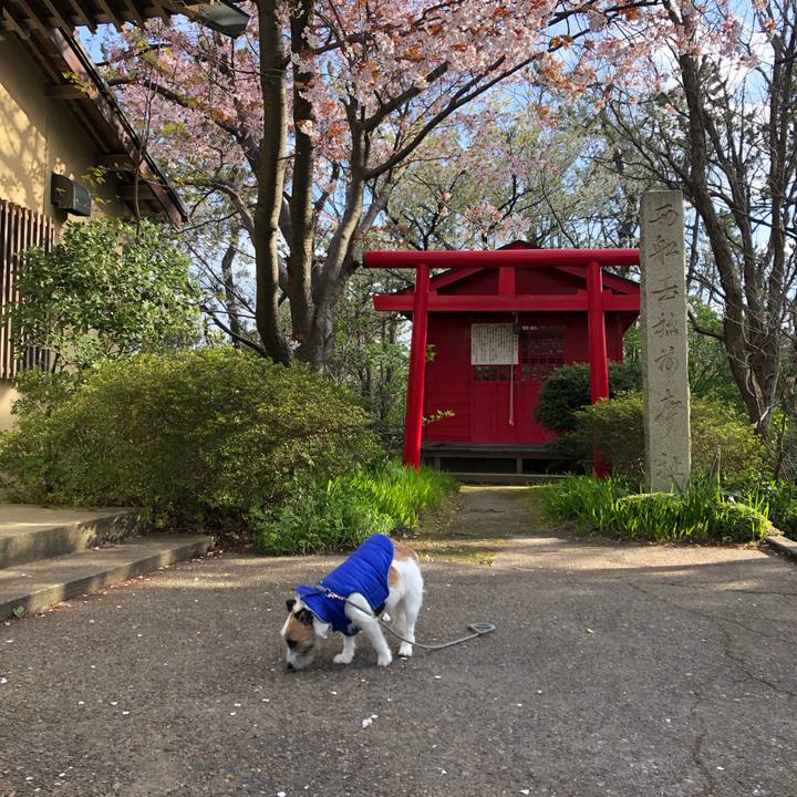 77f9fca0 2bea 4827 ac24 d286853f0495 1586818898347