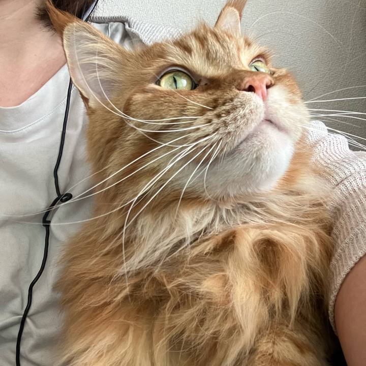 77f9fd72 9d2f 4fe3 86b1 6e6ea27f7aab 1776317681029