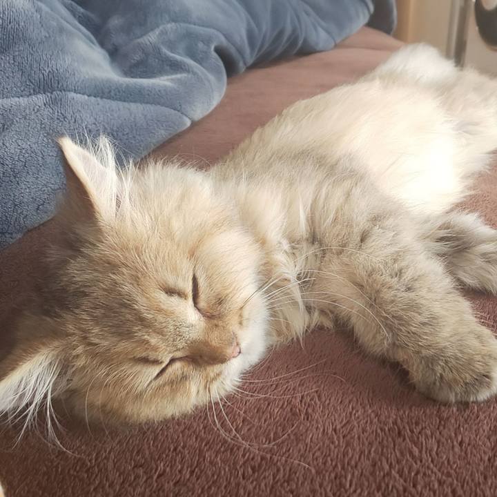 77fa1198 6102 4dbc 965d f697e3b14f5f 1557117811106