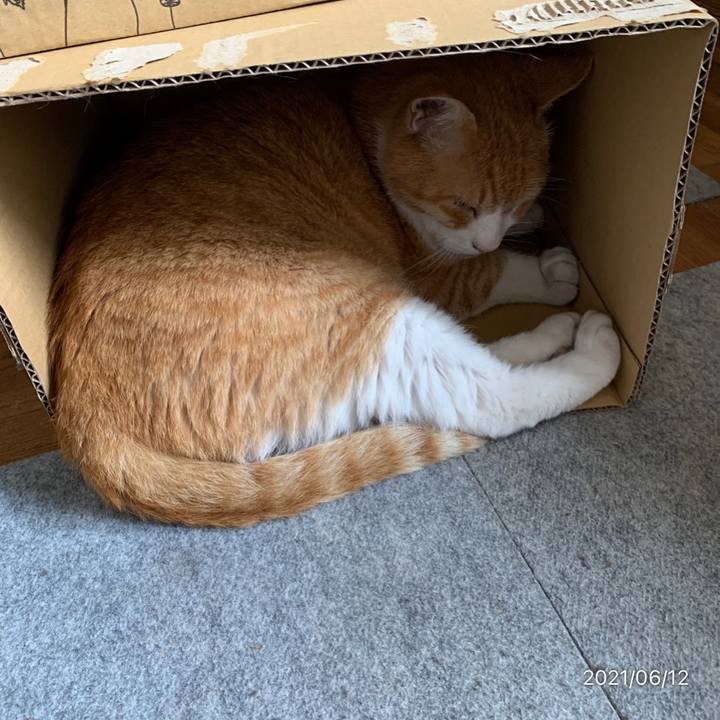 77fa2fff 62bb 496f a91a 4f65eb7b78fb 1623472022846