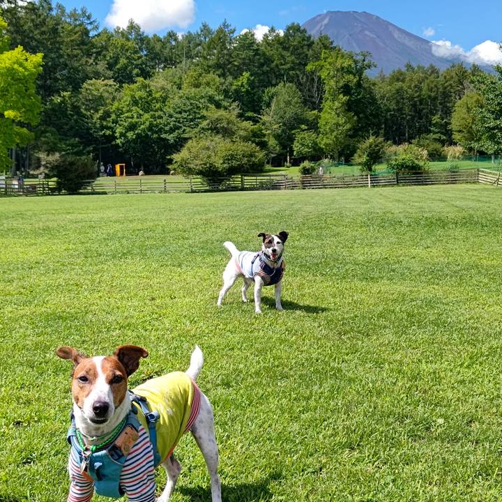 77fa7085 aa45 4567 a008 1c4dae0f7ec0 1693103005730