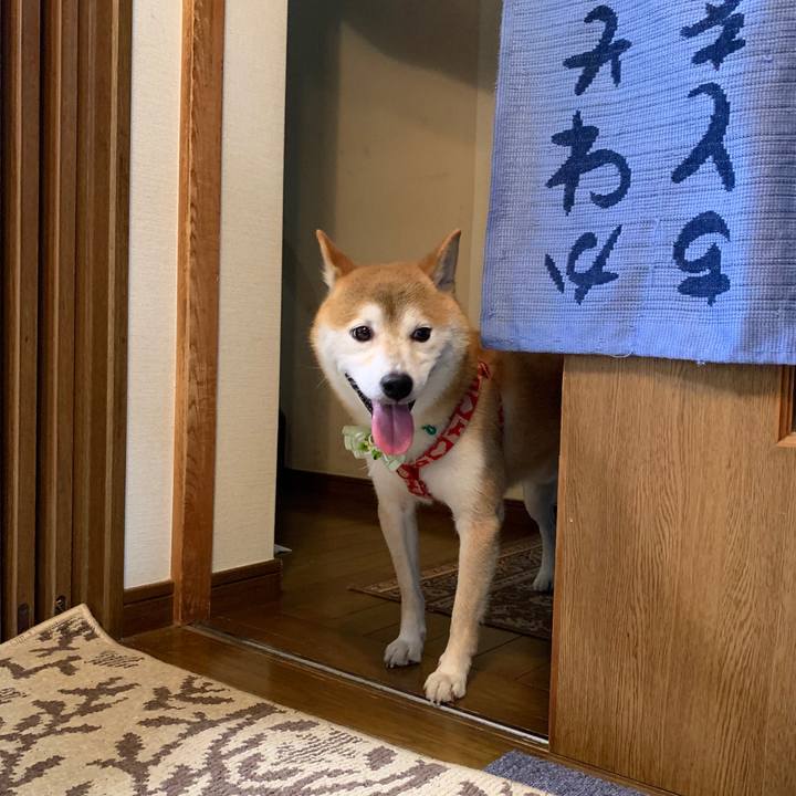 77faee77 feb1 41ad bbae 991df694e87e 1600425980505