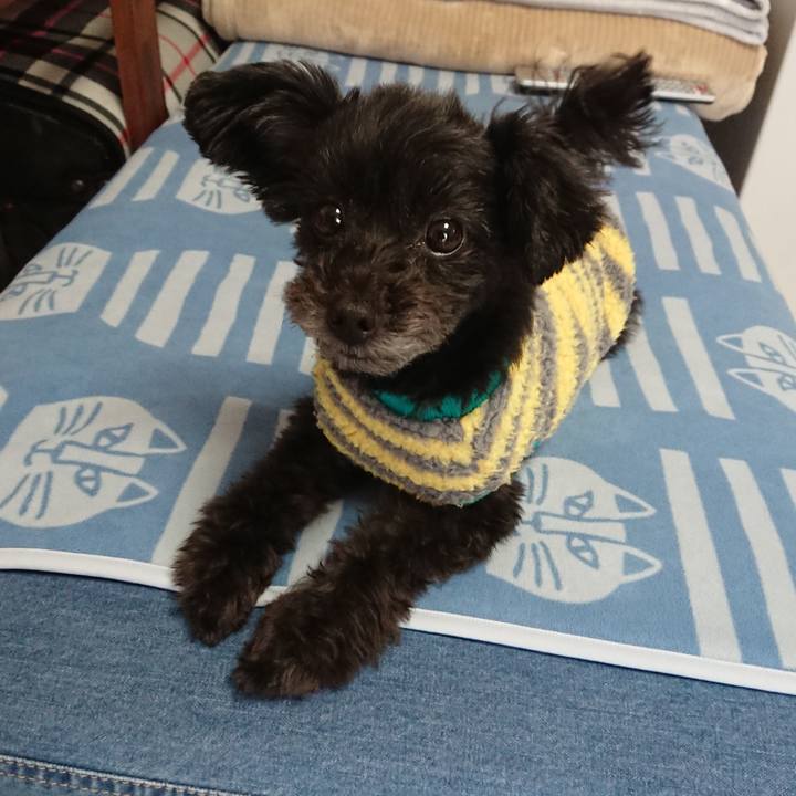 77fb02f9 44ac 4a5a 9a8a 5ef22f4cf1d6 1546068234100