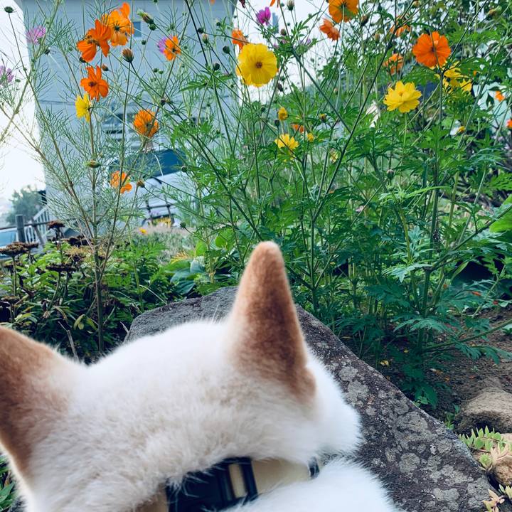 77fb0f62 503f 43fb 8abd 4139d0053677 1598478547631