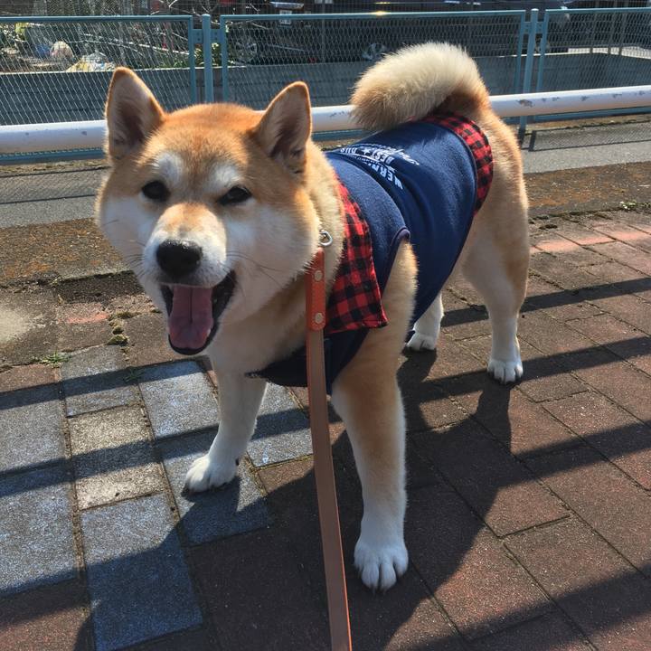 77fb0f69 12c7 4918 8820 ae4a2d513c7e 1552799052597