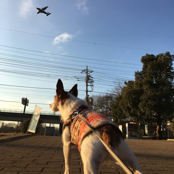 77fb3092 1fa2 457b a350 4f90c3c6739a 1641687621838