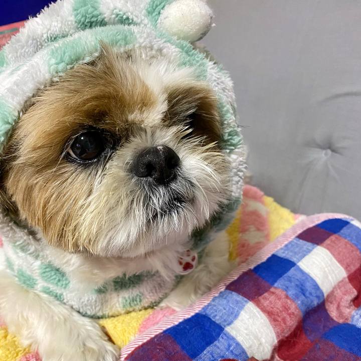 77fb567b 794a 436b ab16 57a4efa5701a 1602149786854