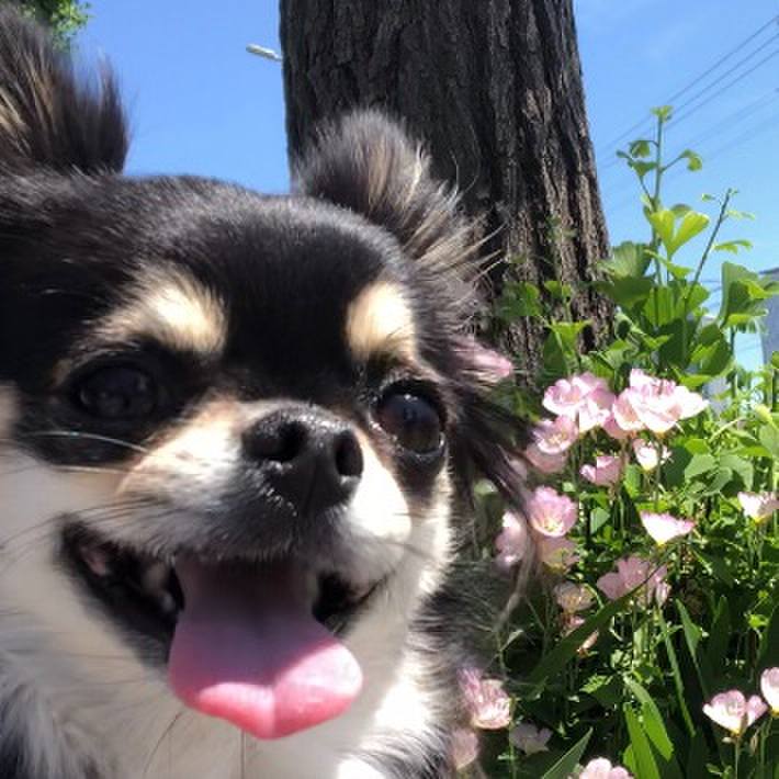 77fb5c7d fb97 4346 86e0 07fe792acb3a 1589164544341