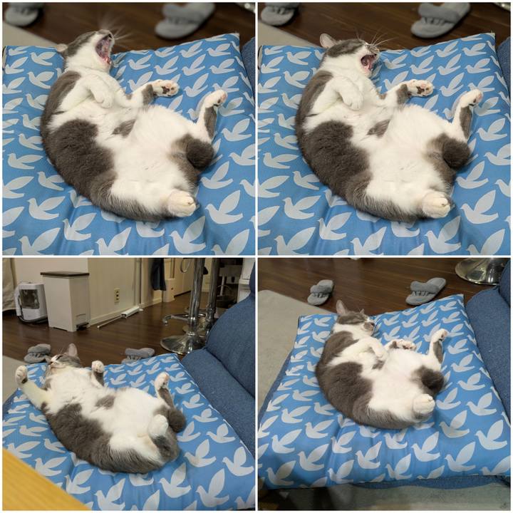 77fb6abb b981 40e2 8762 adfc3d3292e3 1759632393832