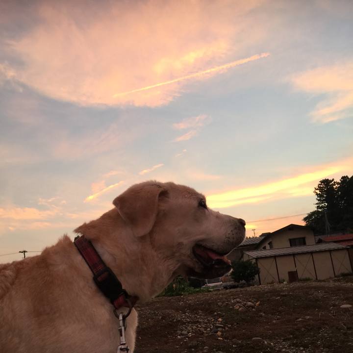 77fba53b 22ba 4fb4 8538 155f95b493e8 1531825859538