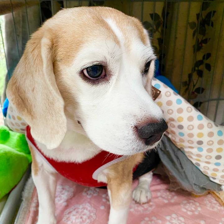 77fbc610 7c6d 40b2 b8ef f1d5c7dd4bfa 1601795605794