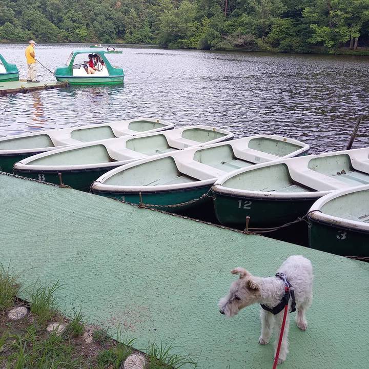 77fbe3b1 d817 4732 a327 0ae0dfeec657 1624247444018