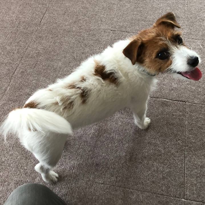 77fbf2cc dee5 4e6b 8631 ecc1d6e41a75 1535271989877