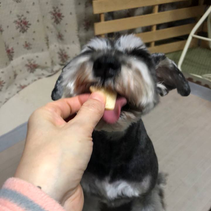 77fc037a 61f8 412d 99f2 f922abac6eaa 1646316967681