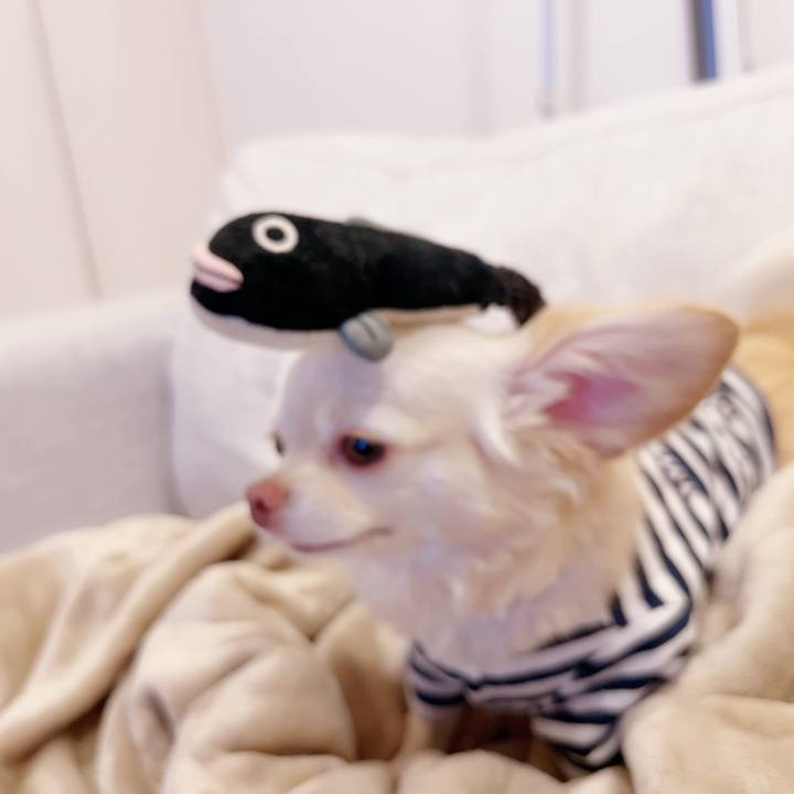 77fc466c 2919 42a4 9ce5 c78f3abf44b2 1695903760616