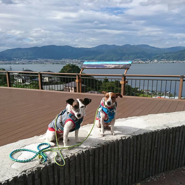 77fc519b afa0 4bfa a3cf 97cdd9d4f20c 1567406682748