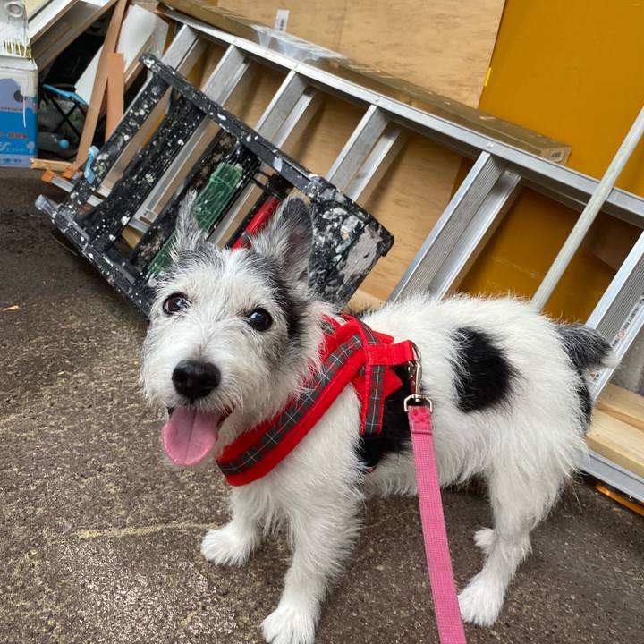 77fc663b 74af 4542 adc4 8fefee396fc4 1598140580419