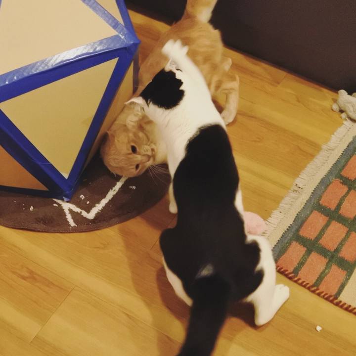 77fc6df0 f584 4b3d 9916 aaafb571066c 1592055633390