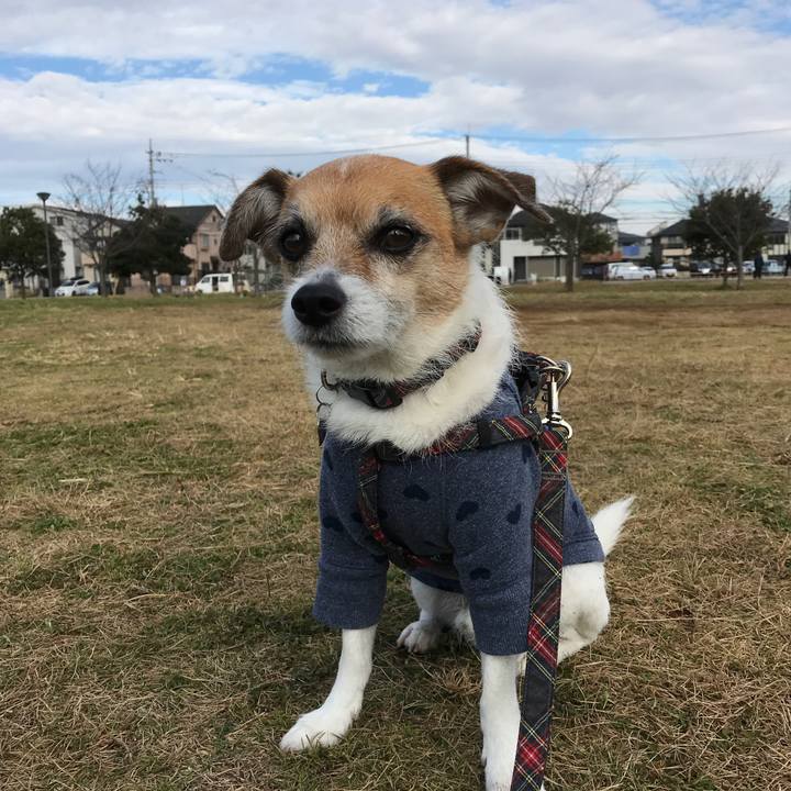 77fc717d ebc4 4e88 9710 f0834579a3a4 1576633419508