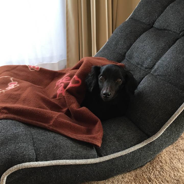 77fca190 67a0 49cf 8808 5db33aa92da8 1517098492604