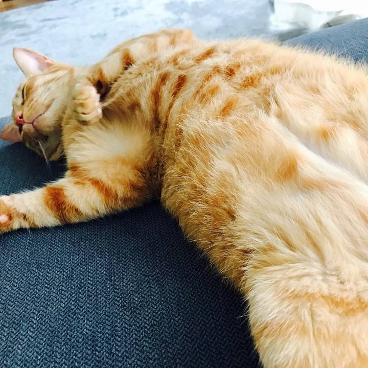 77fd2f94 063a 4b1f 8477 1fdbfb4294b6 1594610492849