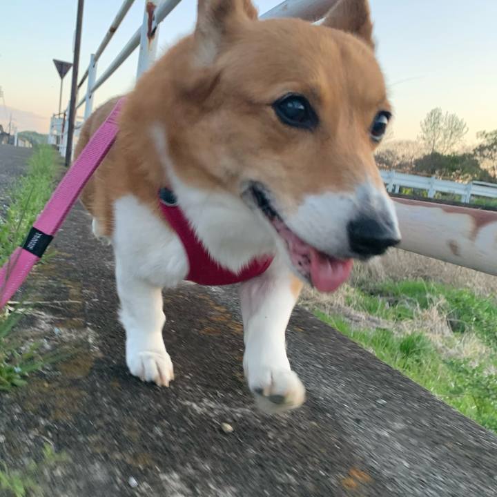 77fd3122 a935 470e 8126 5bbb3cd30c47 1680774187795