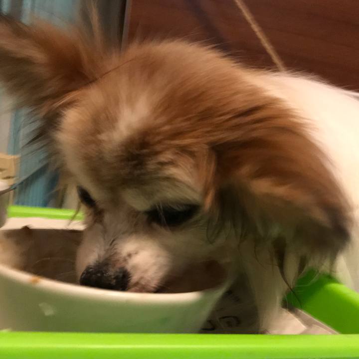 77fd3156 e3d1 4fbe 92ff 5b61c91c2580 1511177516829