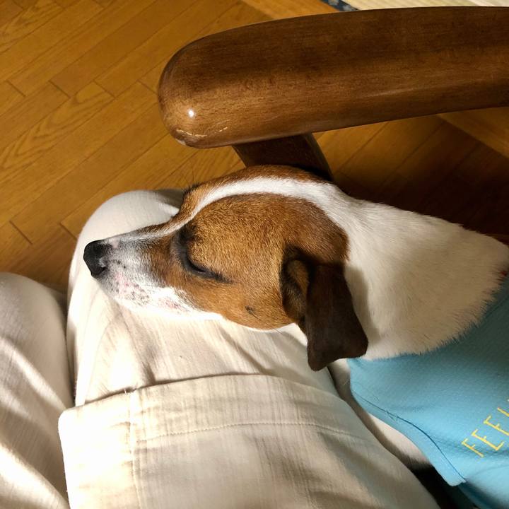 77fd45e7 d001 474c 962a f8a603dedaea 1597239495343