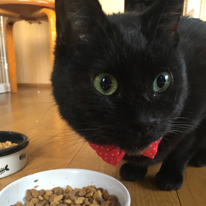 77fd4bb6 4ab2 4f1f a58c b20dd67fded5 1550234218539