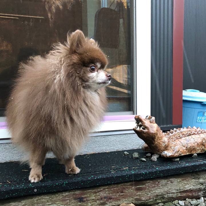 77fd69d8 be6a 41be acdf 91fc19e9b88b 1637632643539